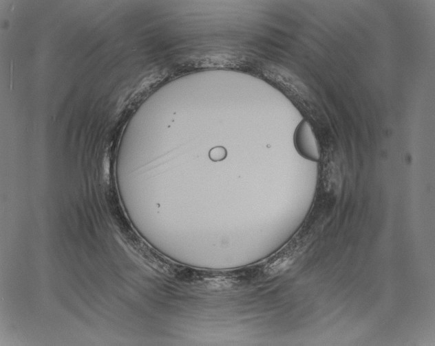 X0000066520310200604071558