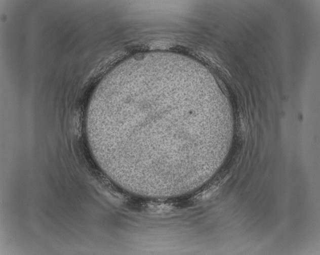 X0000066520311200604071558