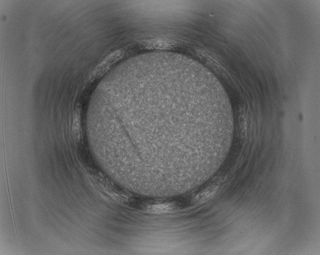 X0000066520312200604071558