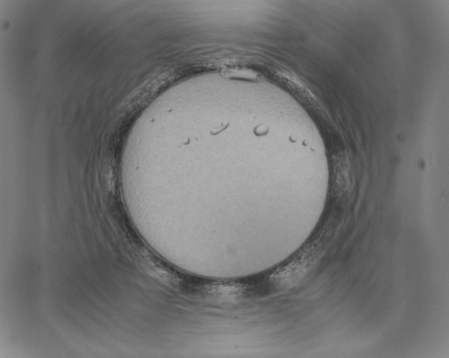 X0000066520313200604071558