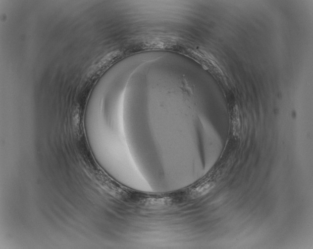 X0000066520314200604071558