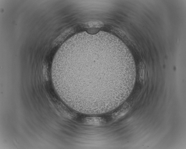 X0000066520316200604071558