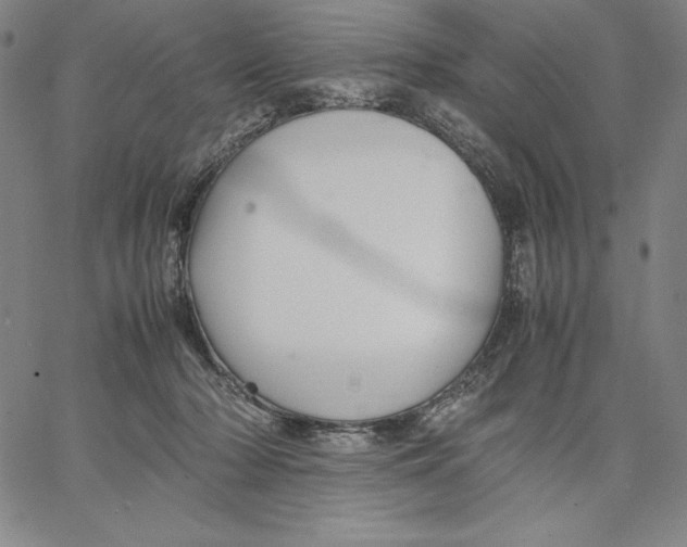 X0000066520318200604071558