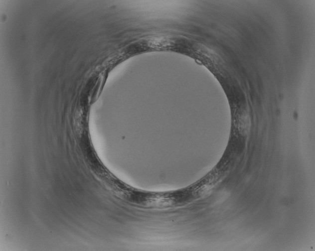 X0000066520319200604071558