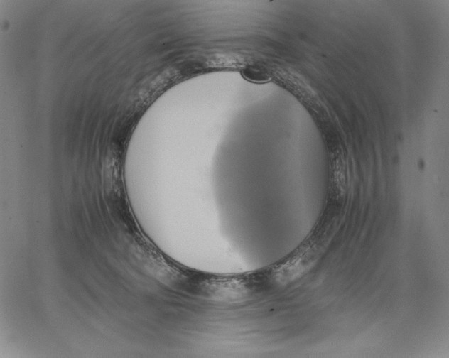 X0000066520322200604071558