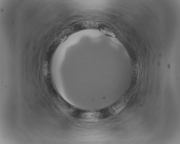 X0000066520323200604071558