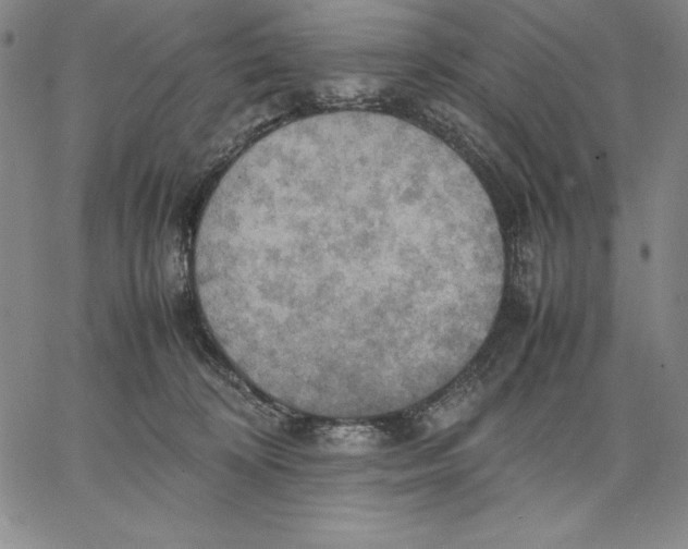 X0000066520324200604071558