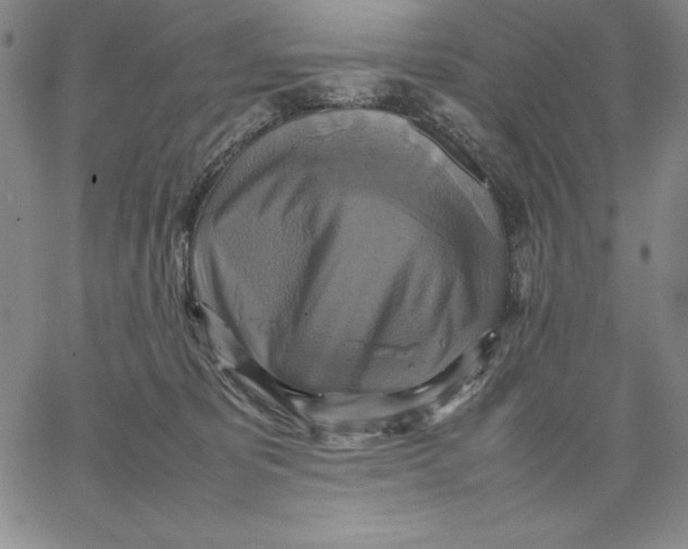 X0000066520325200604071558