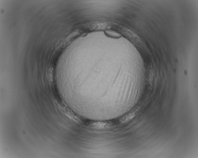 X0000066520326200604071558