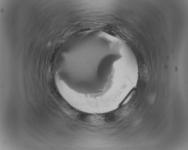 X0000066520327200604071558