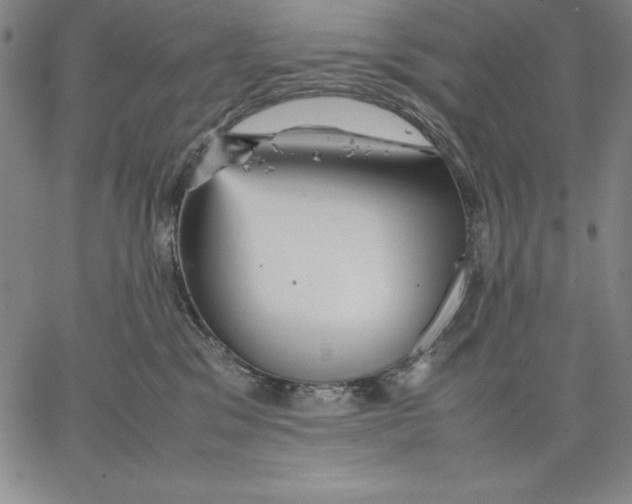 X0000066520329200604071558