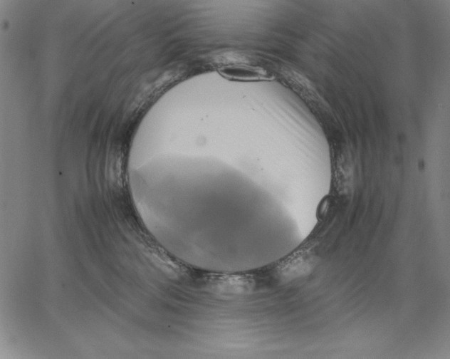 X0000066520330200604071558