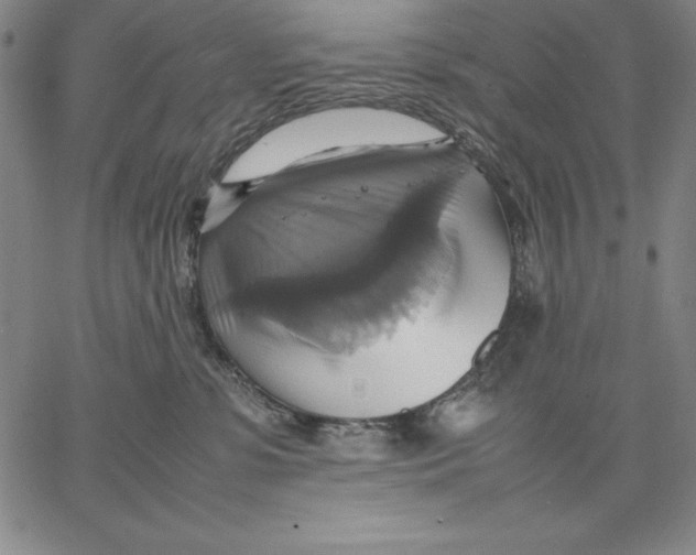 X0000066520331200604071558