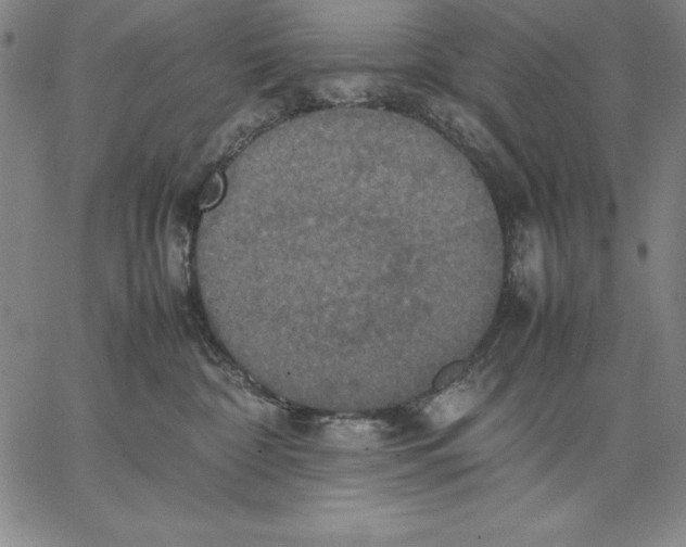 X0000066520332200604071558