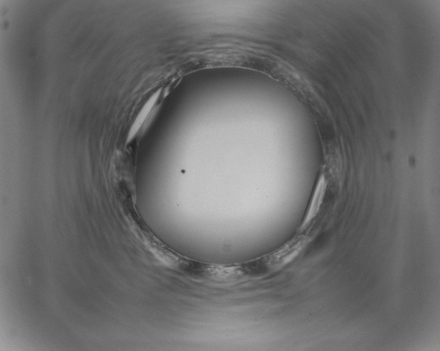 X0000066520333200604071558