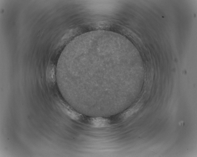 X0000066520336200604071558