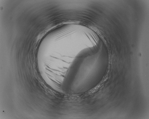 X0000066520337200604071557