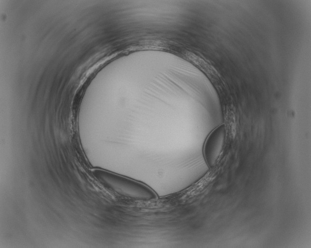 X0000066520338200604071557