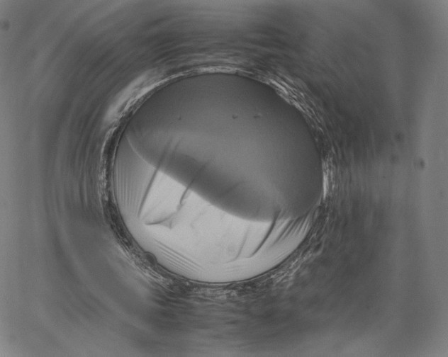 X0000066520339200604071557