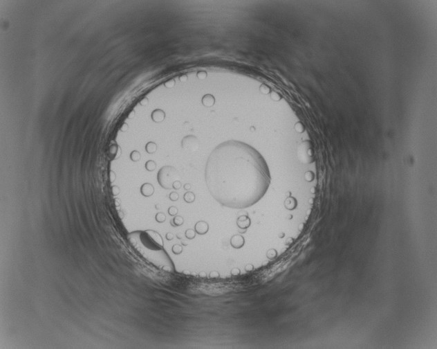 X0000066520341200604071557