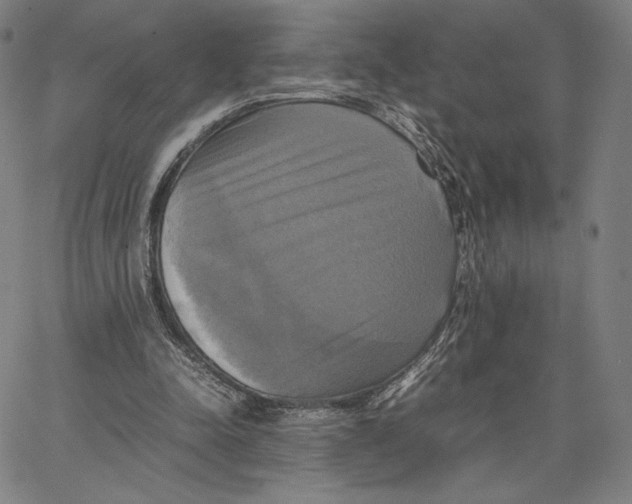 X0000066520342200604071557