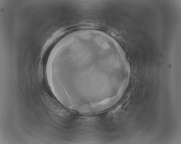 X0000066520343200604071557