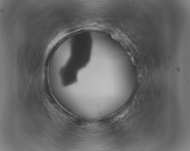 X0000066520344200604071557