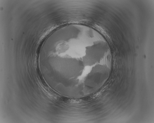 X0000066520346200604071557