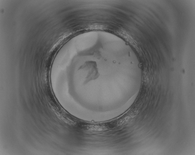 X0000066520347200604071557