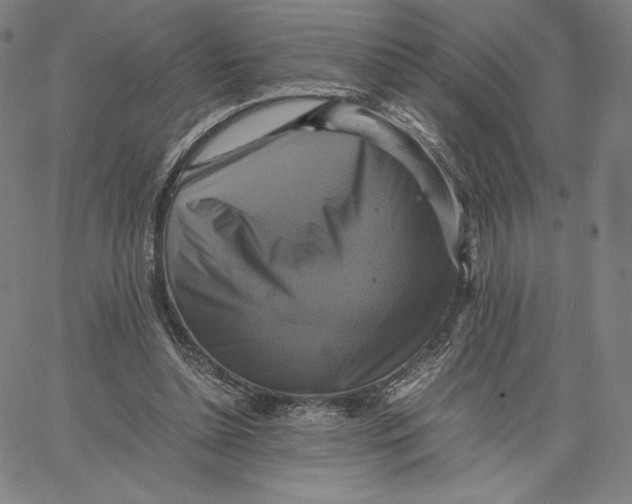 X0000066520348200604071557