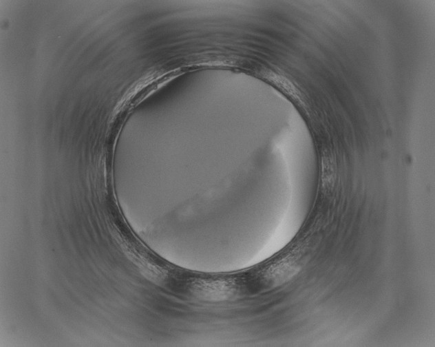 X0000066520349200604071557