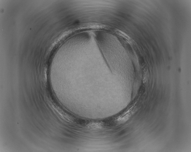 X0000066520350200604071557