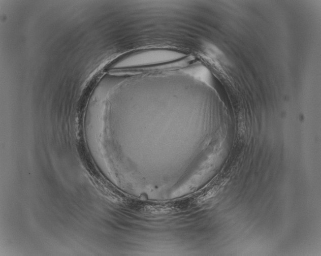 X0000066520351200604071557