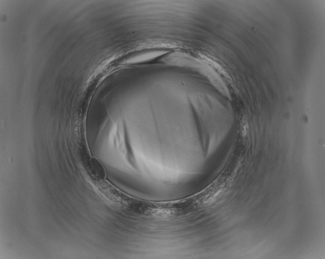 X0000066520352200604071557