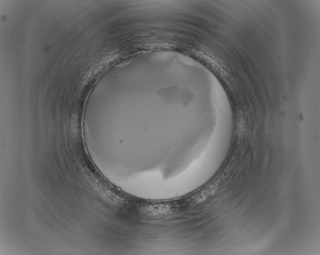 X0000066520353200604071557