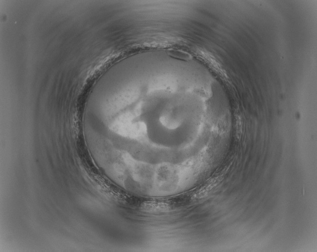 X0000066520354200604071557