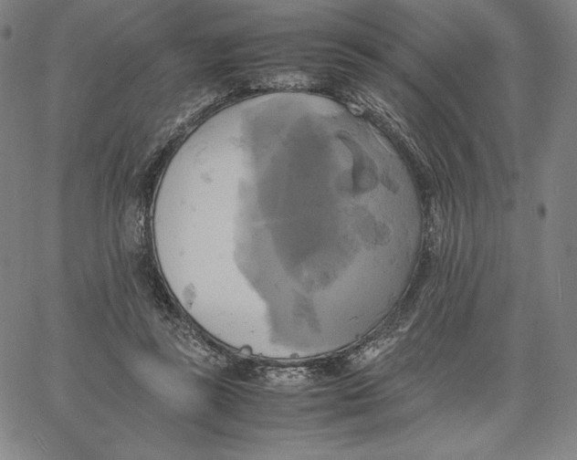 X0000066520355200604071557