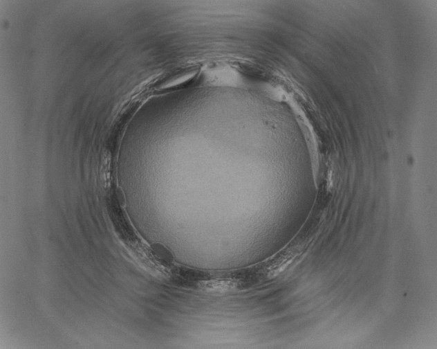 X0000066520356200604071557