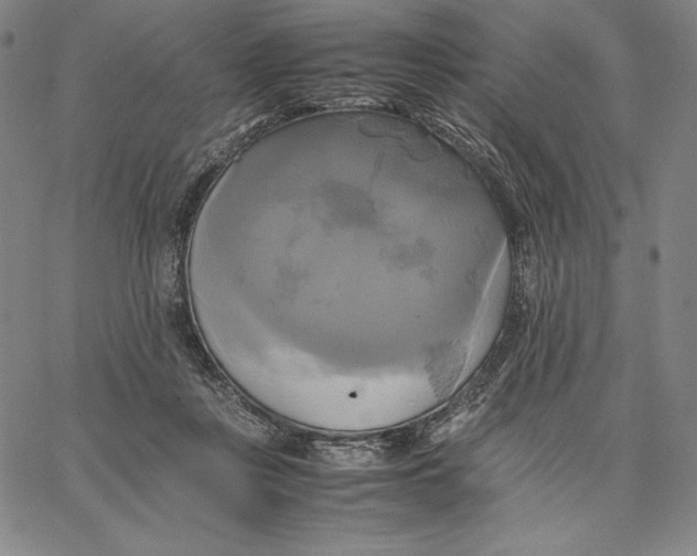 X0000066520359200604071558