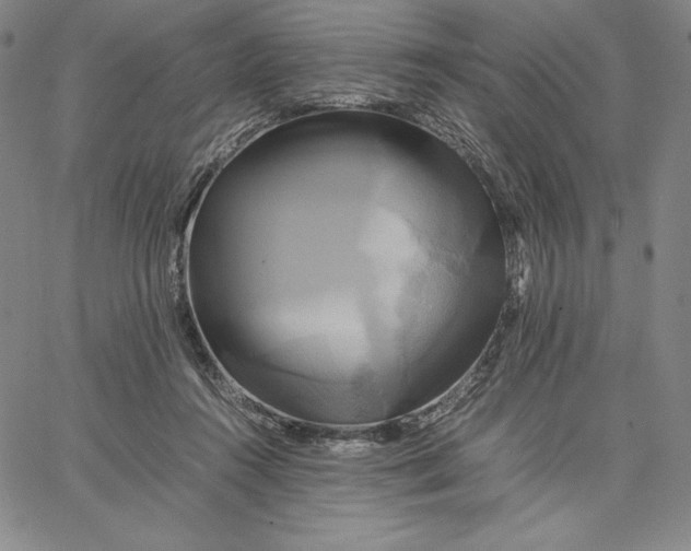 X0000066520360200604071558