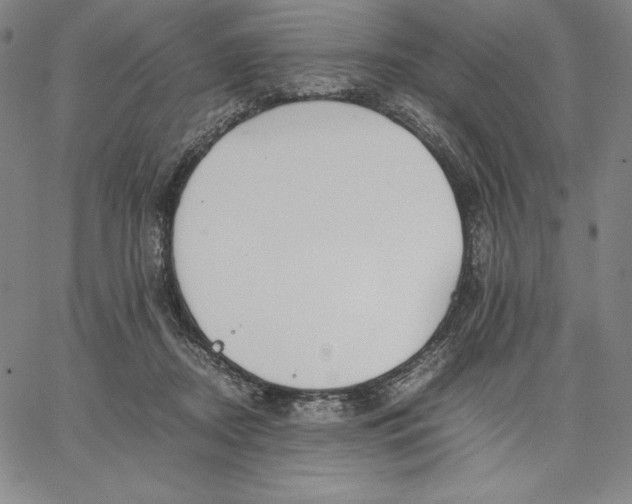 X0000066520362200604071558