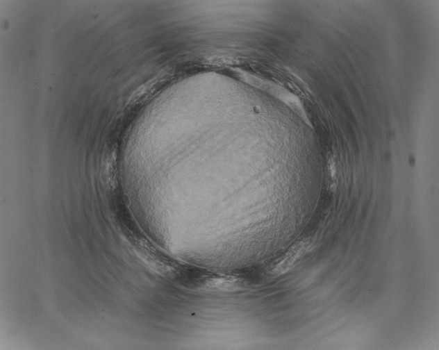 X0000066520364200604071558