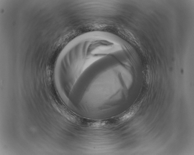 X0000066520366200604071558