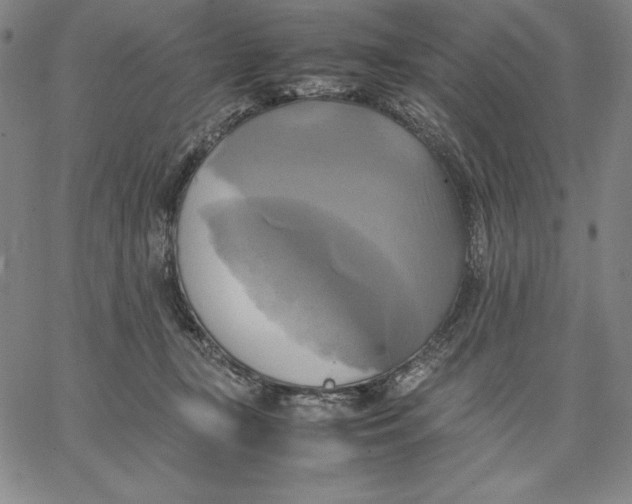 X0000066520367200604071558