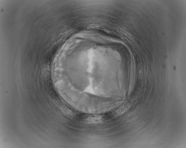 X0000066520369200604071558