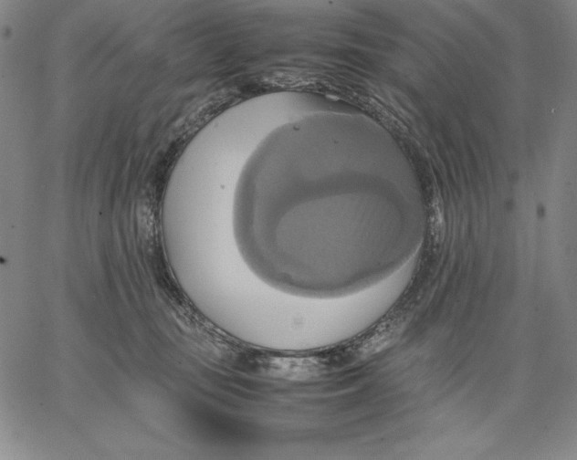 X0000066520371200604071558