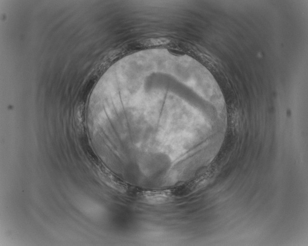 X0000066520373200604071558