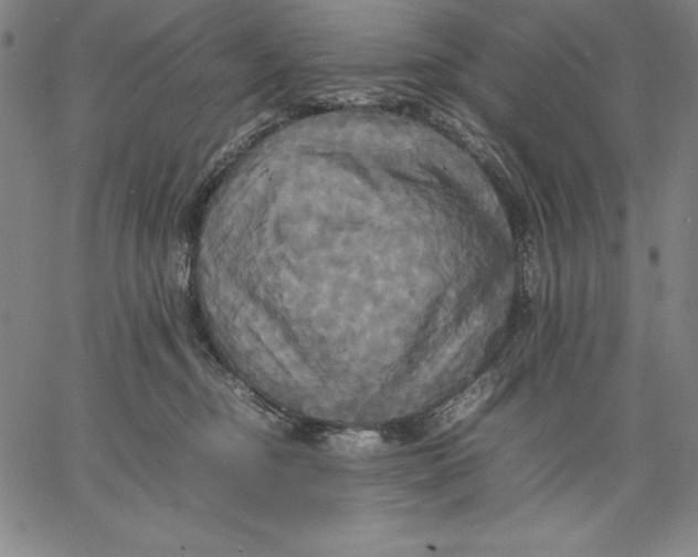 X0000066520374200604071558