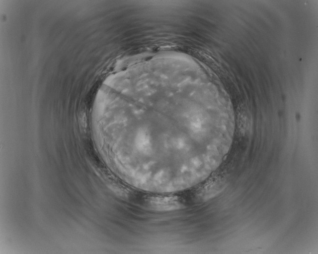 X0000066520375200604071558