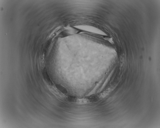 X0000066520376200604071558